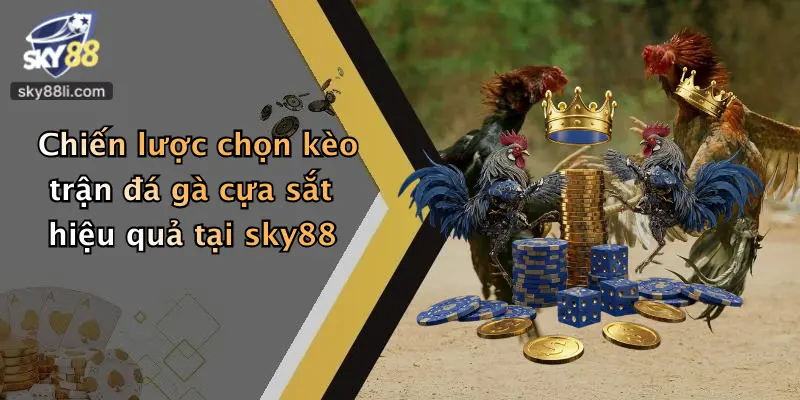 Chiến lược chọn kèo trận đá gà cựa sắt hiệu quả tại sky88