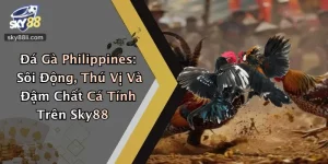 Đá Gà Philippines: Sôi Động, Thú Vị Và Đậm Chất Cá Tính Trên Sky88
