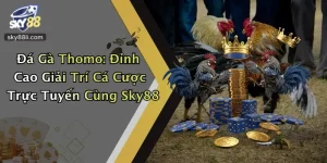 Đá Gà Thomo: Đỉnh Cao Giải Trí Cá Cược Trực Tuyến Cùng Sky88