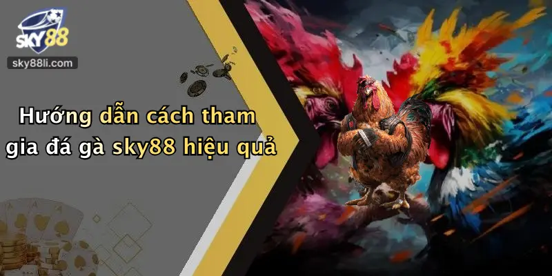 Hướng dẫn cách tham gia đá gà sky88 hiệu quả