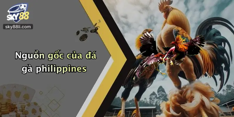 Nguồn gốc của đá gà philippines