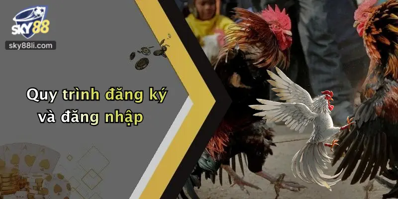 Quy trình đăng ký và đăng nhập